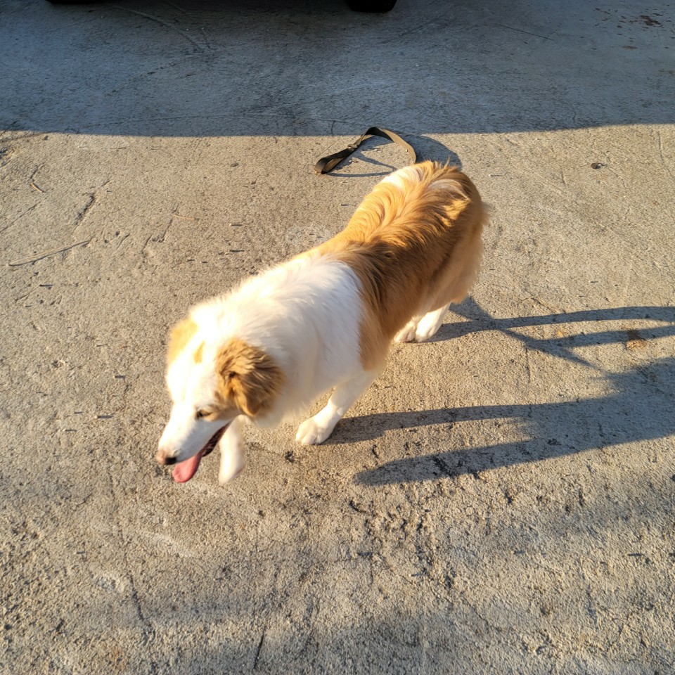 메이로렌이. 잘지내고 잇습니다~~!!