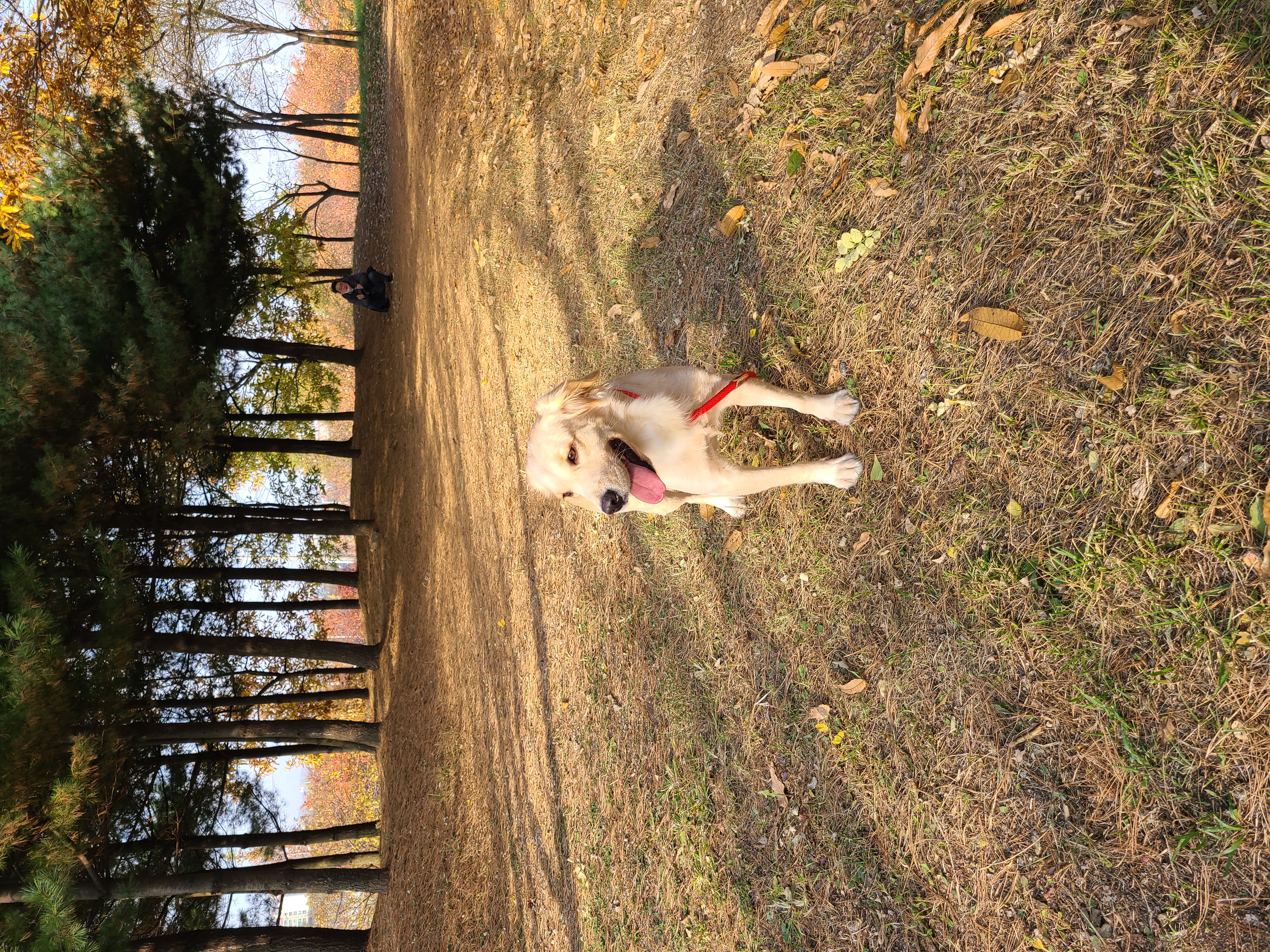 고양6번 로제와 세달입니다~ㅎ
