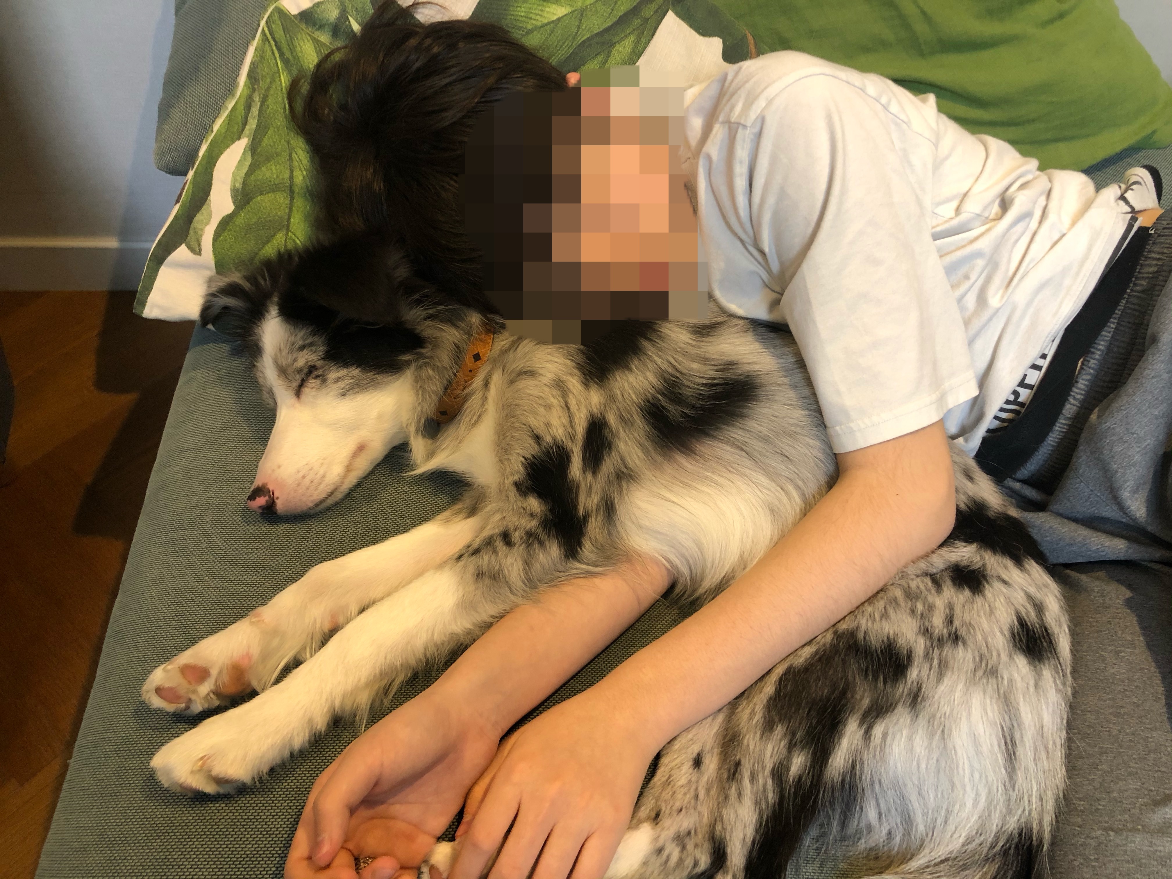 샤인이 인사합니다