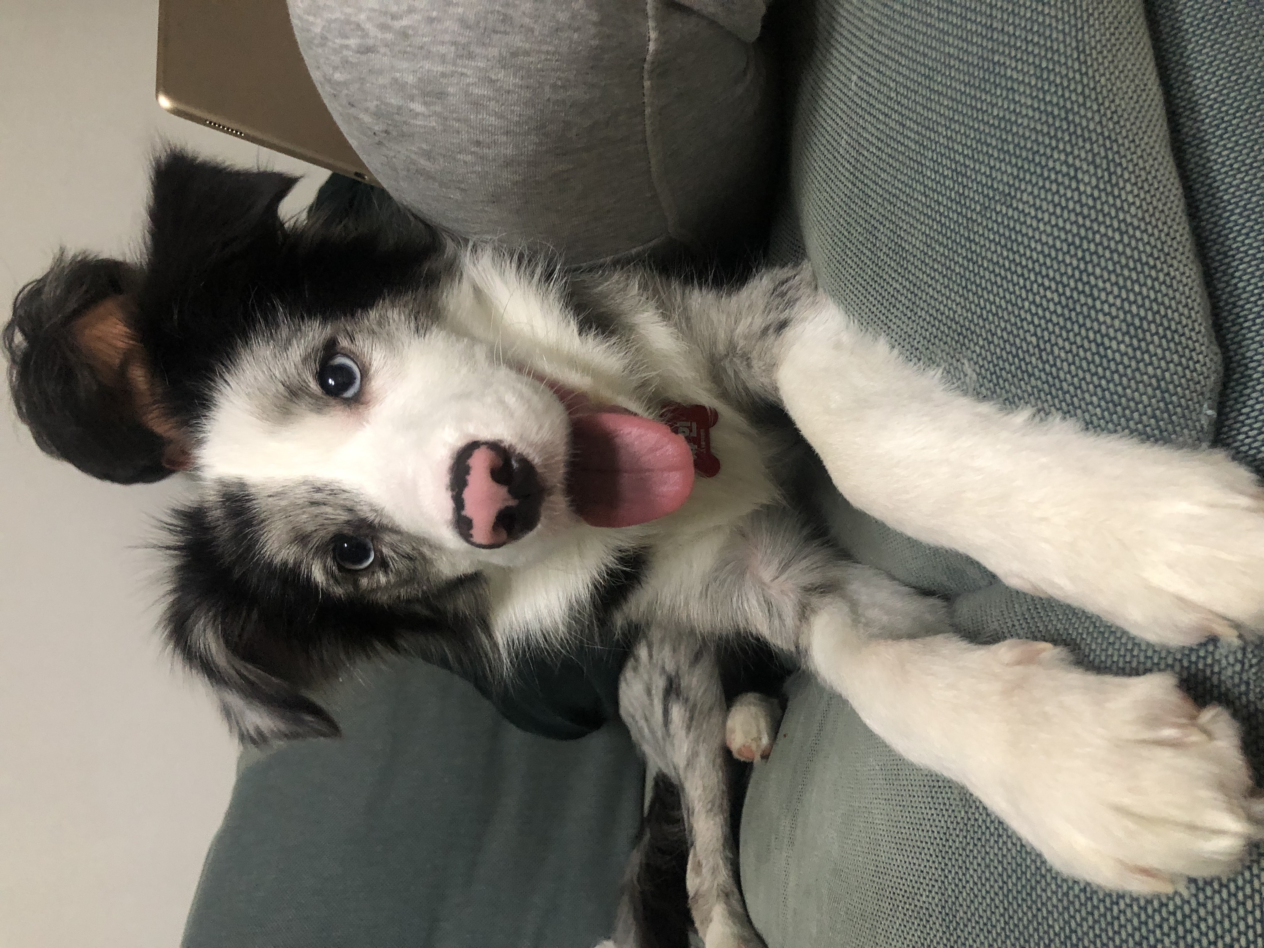 샤인이 인사합니다