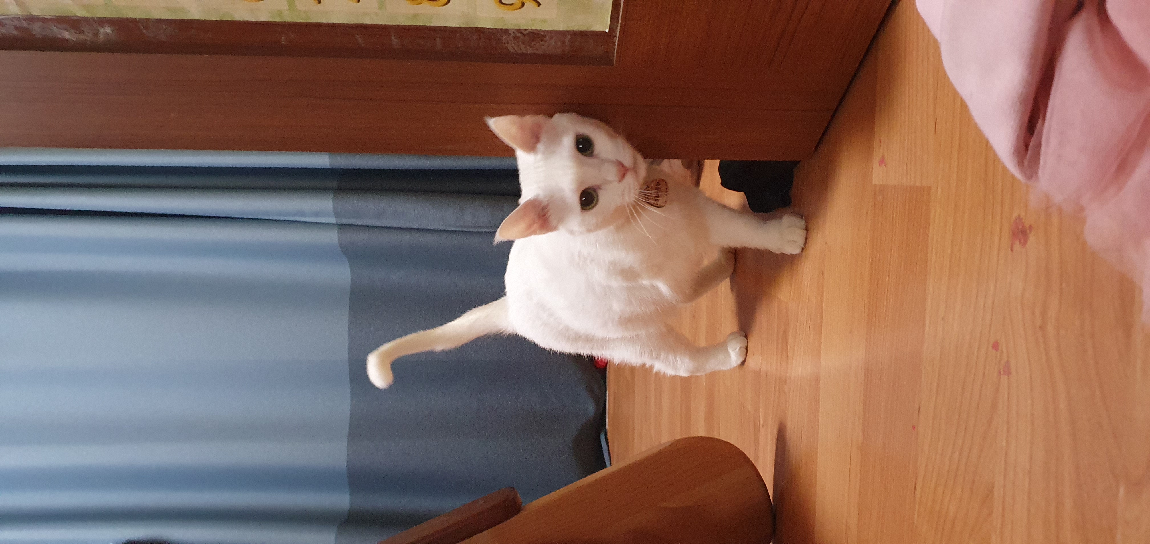 하트 오랜만이에요~^^