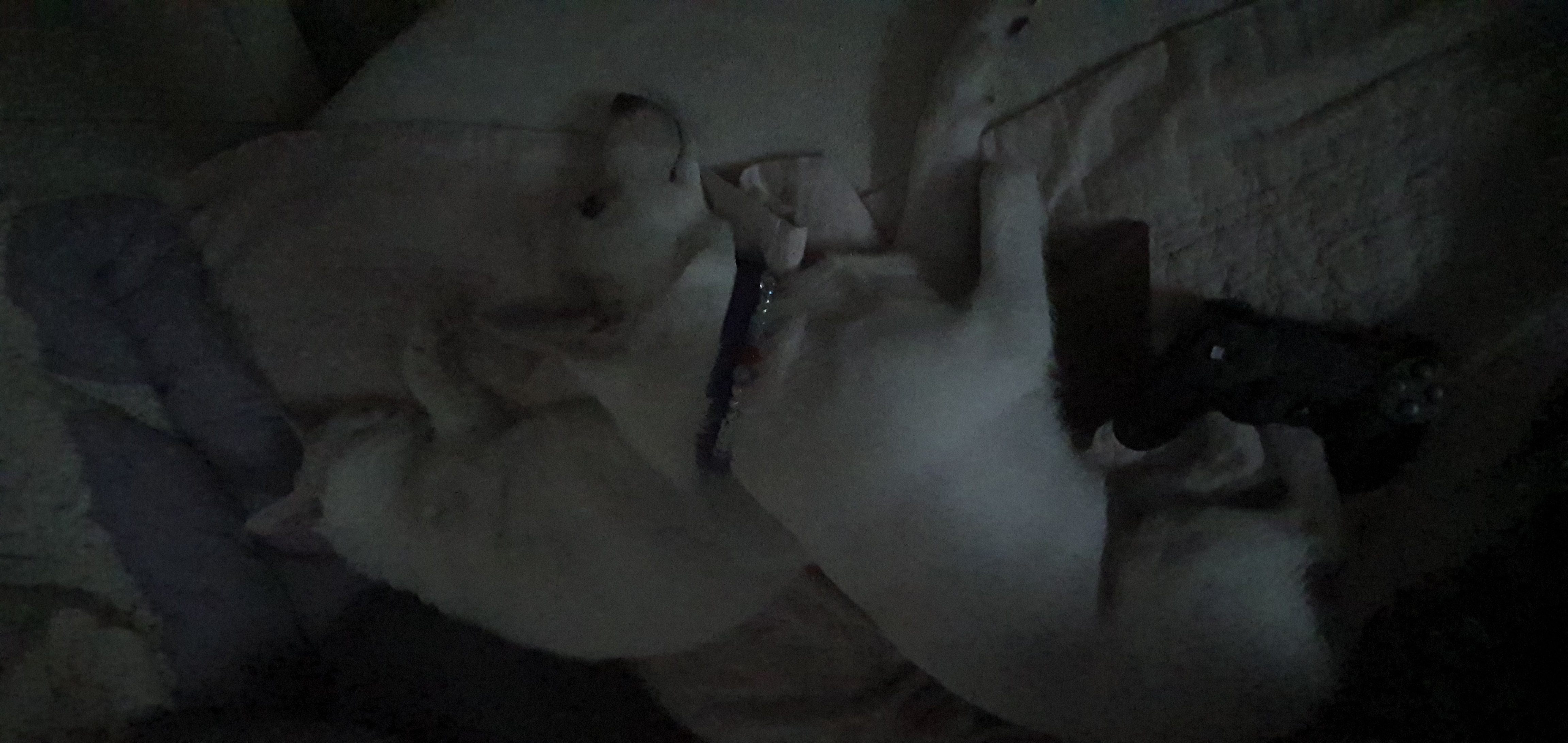 하트 오랜만이에요~^^