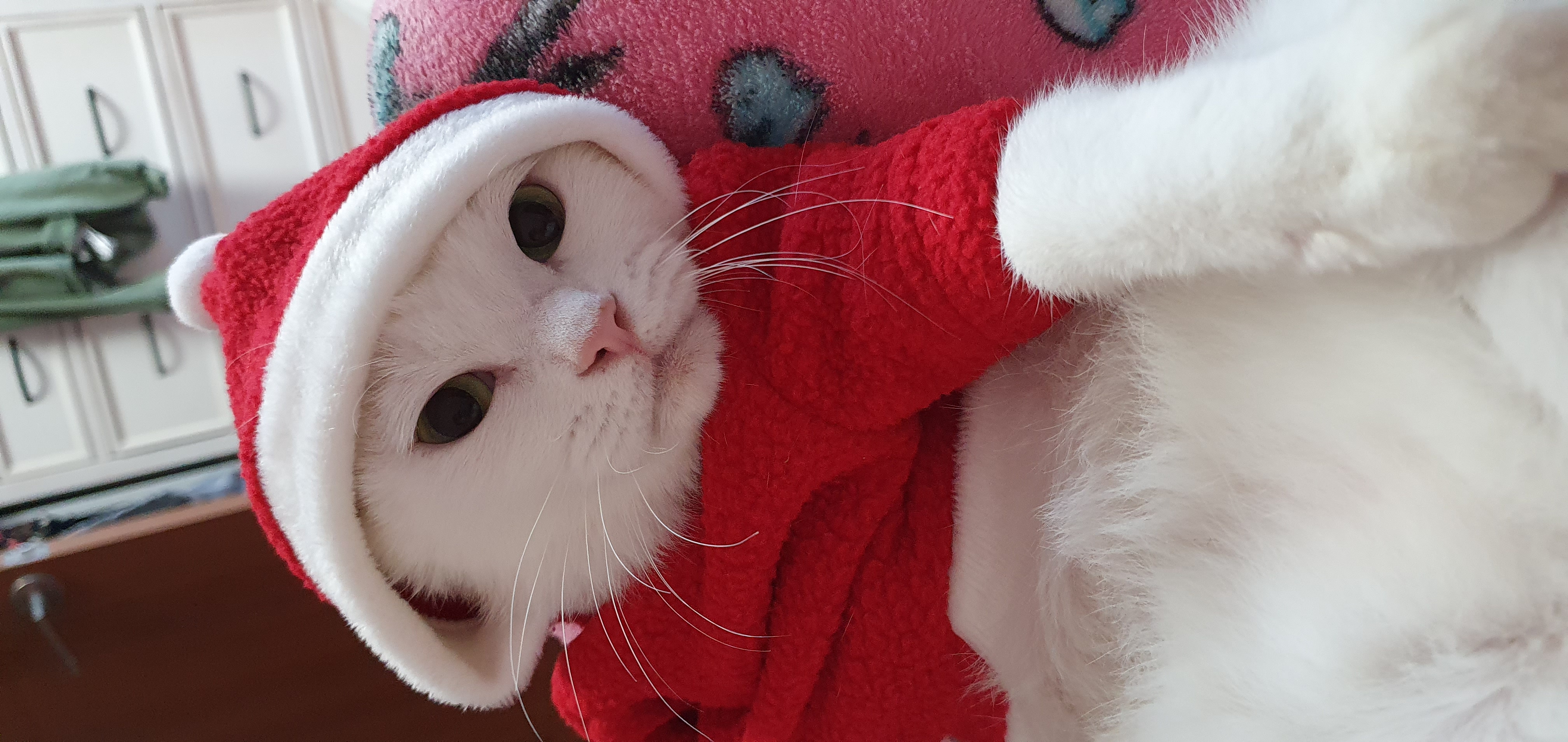 하트 오랜만이에요~^^