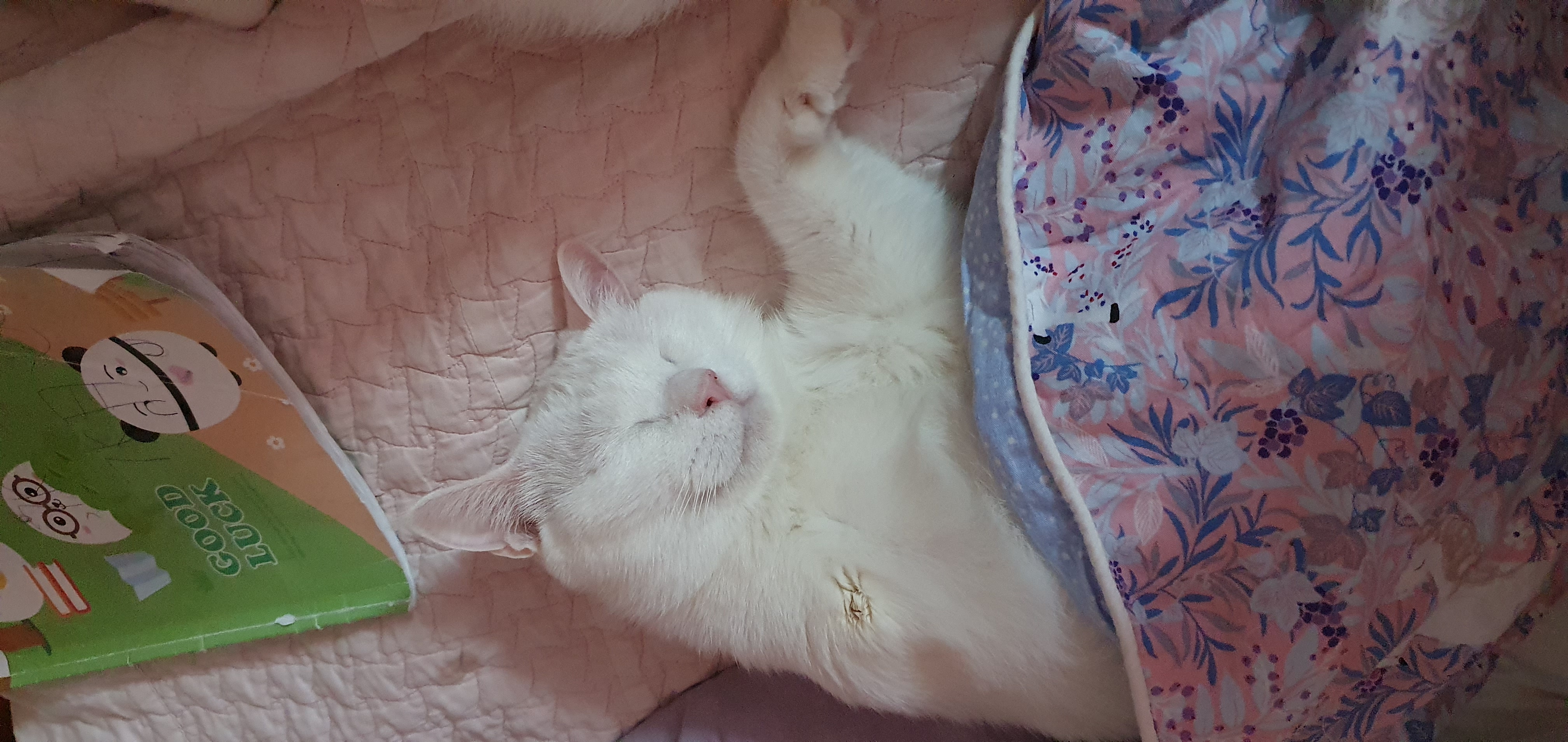 하트 오랜만이에요~^^