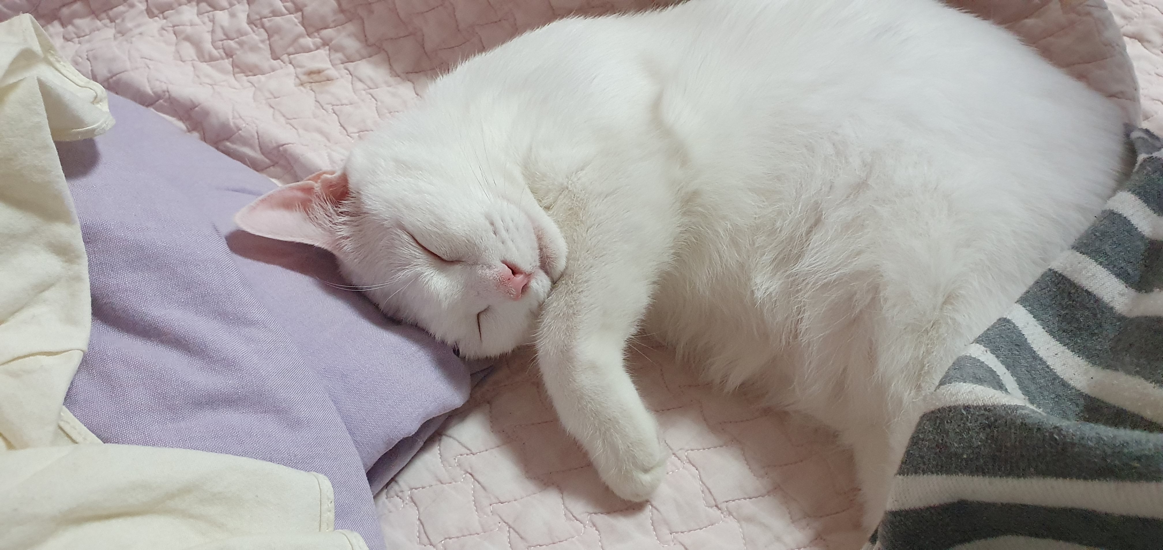 하트 오랜만이에요~^^