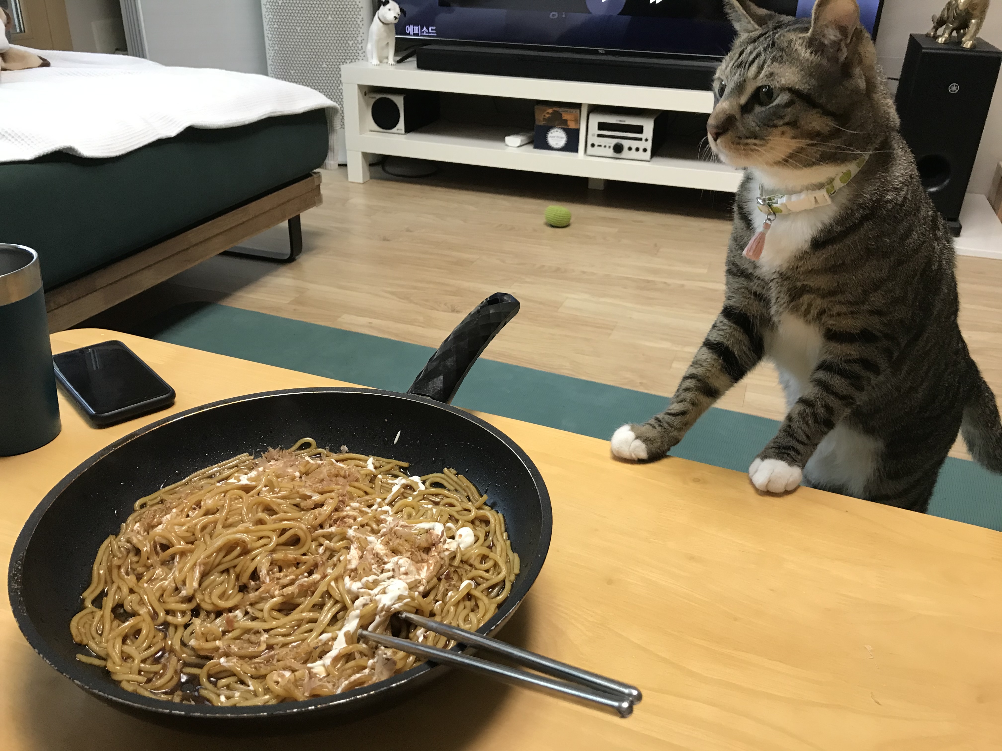 코리 엄마 사랑해요❤️ -깨비 올림