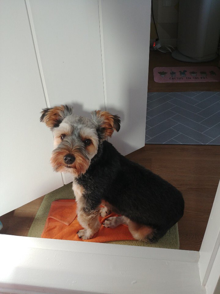 몽구 3개월차 소식입니다(구 해피) 