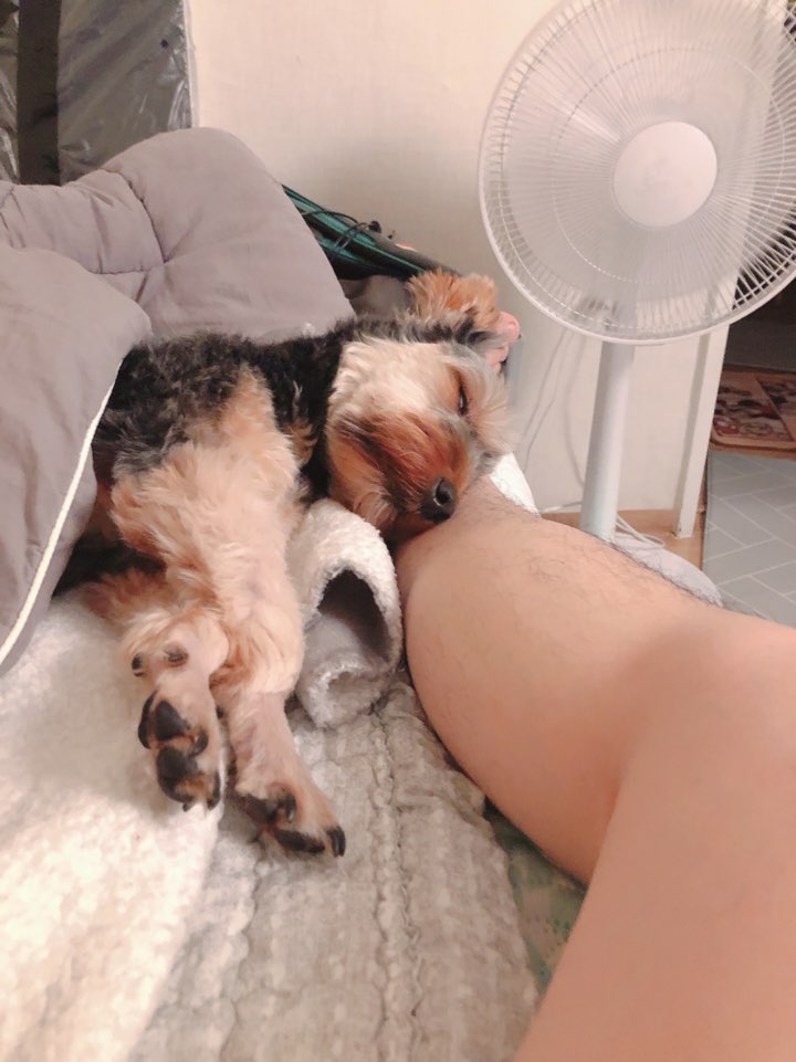 몽구 3개월차 소식입니다(구 해피) 