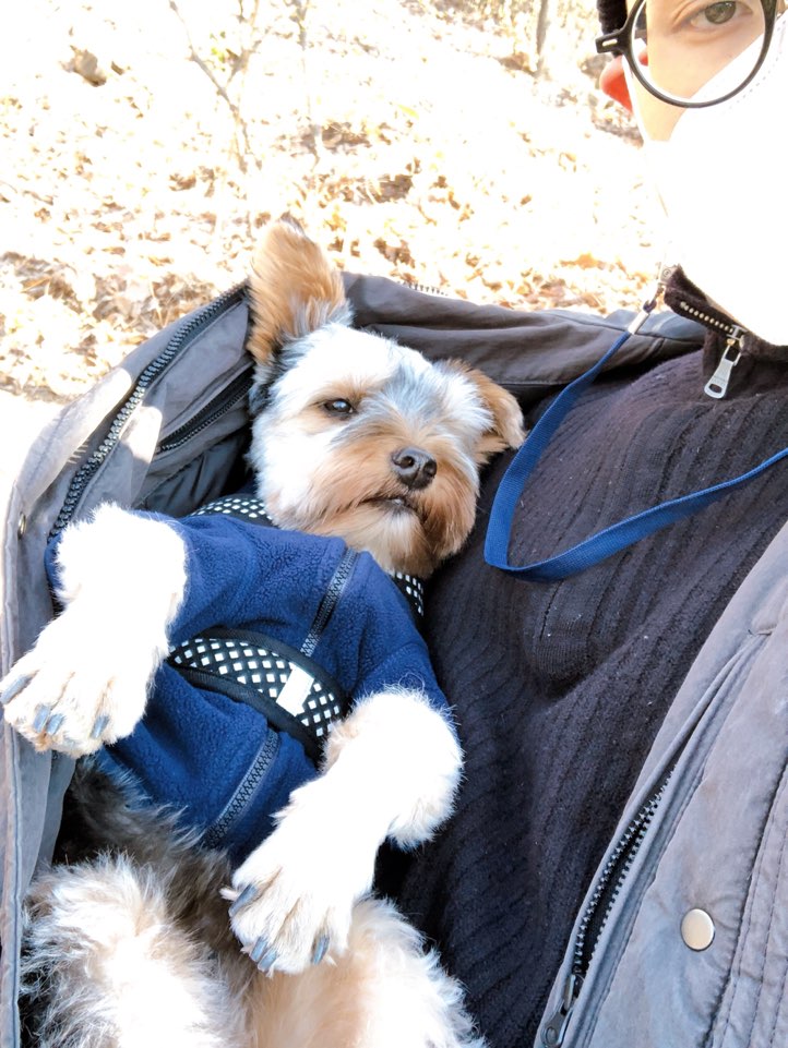 몽구 3개월차 소식입니다(구 해피) 