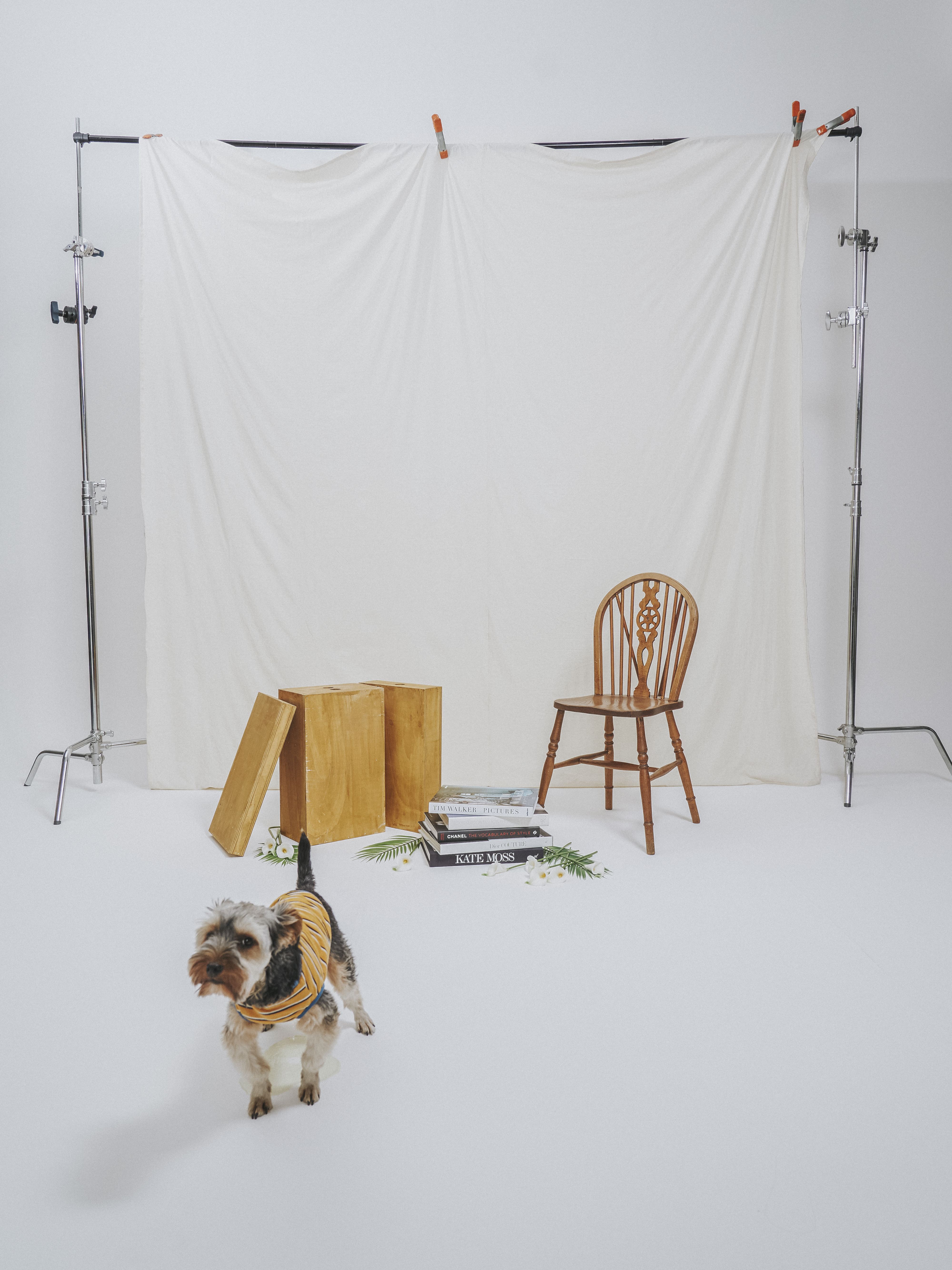 몽구 3개월차 소식입니다(구 해피) 