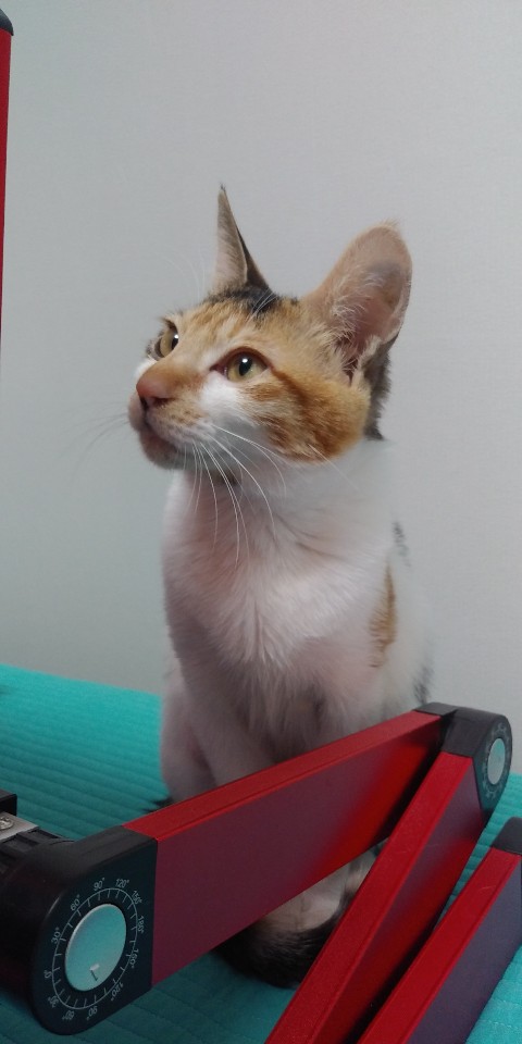 뽀얌이의 3개월