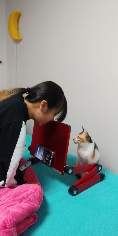 뽀얌이의 3개월