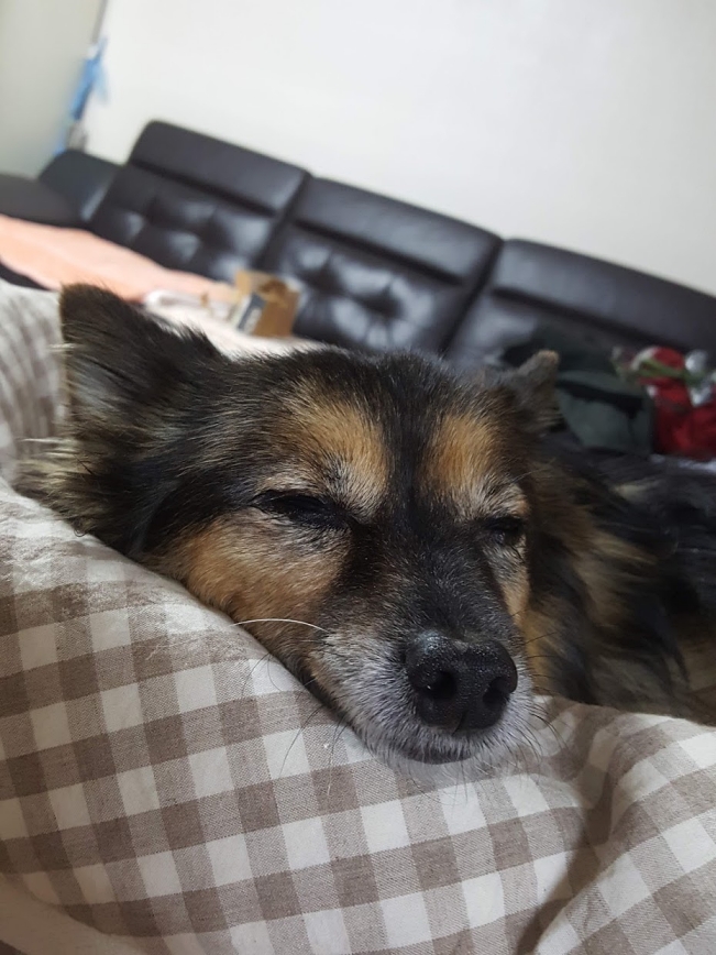 베를린 연말 소식입니다