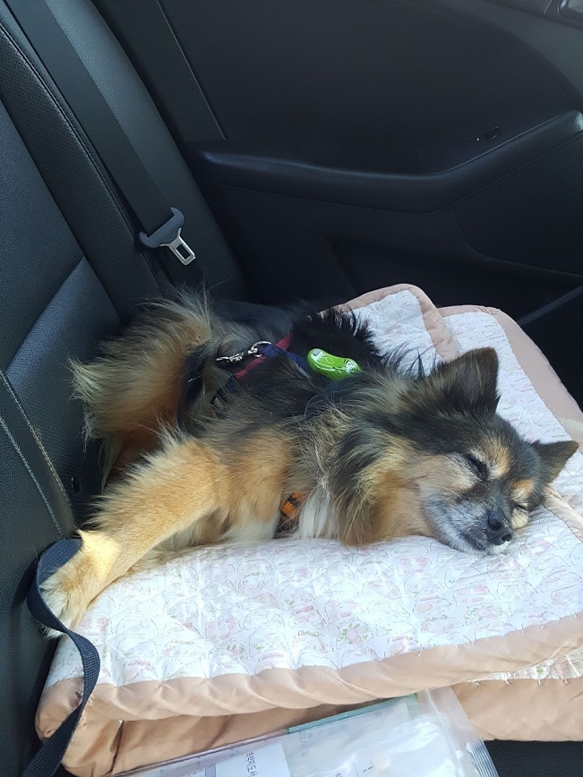 베를린 연말 소식입니다