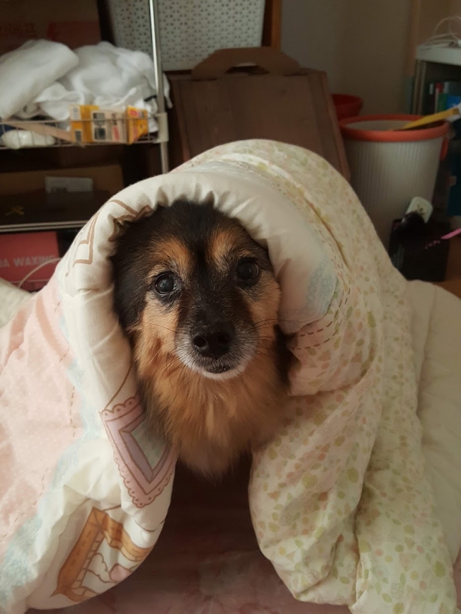 베를린 연말 소식입니다