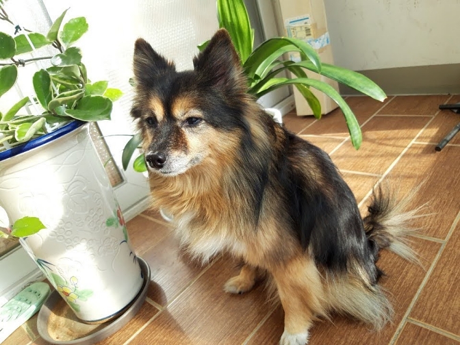 베를린 연말 소식입니다