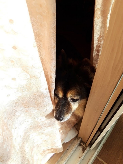 베를린 연말 소식입니다