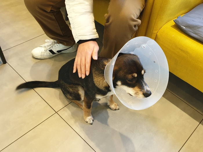 까미(멍돌이)랑 벌써 세 달