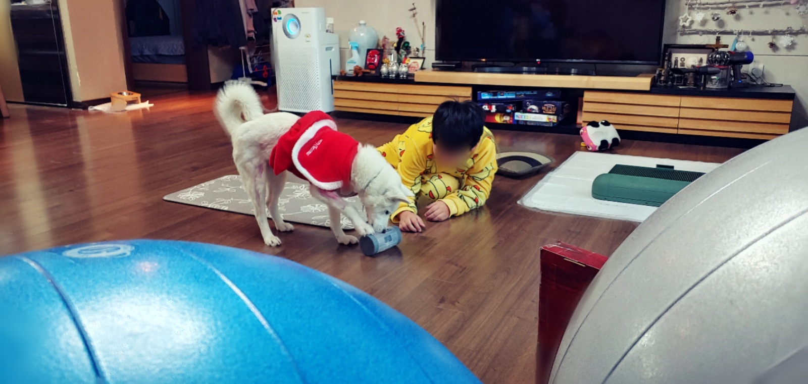 구름이가 편안하길~