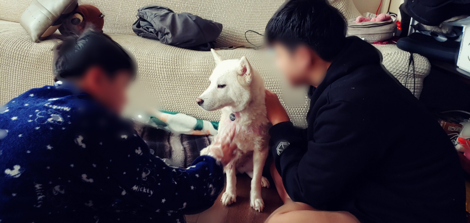 구름이가 편안하길~