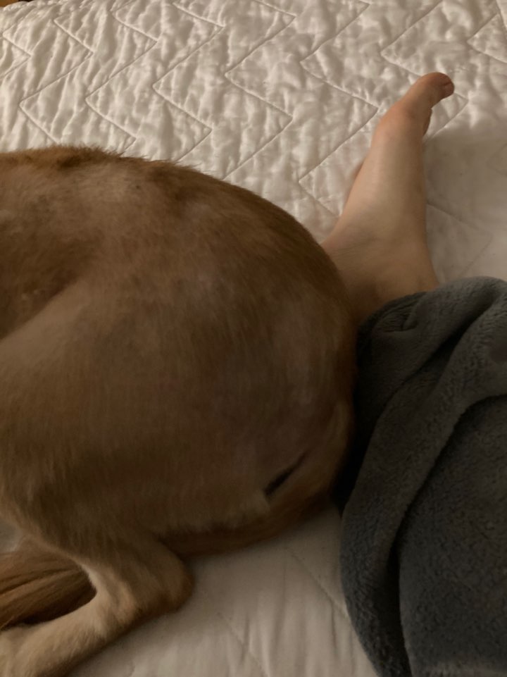 금까 근황입니다