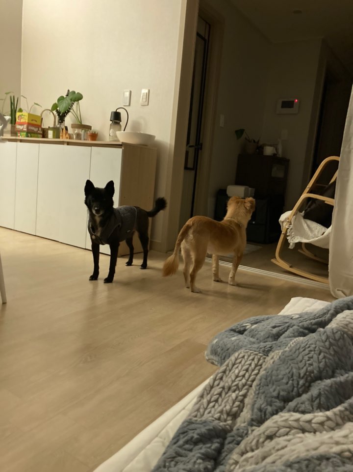 금까 근황입니다