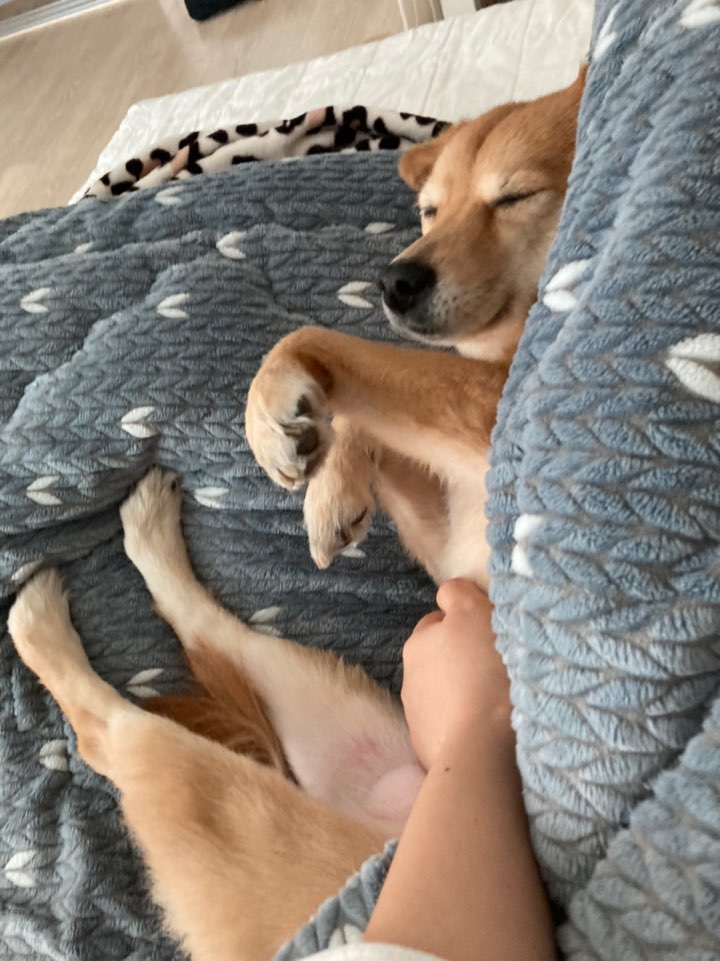 금까 근황입니다