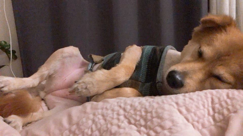 금까 근황입니다