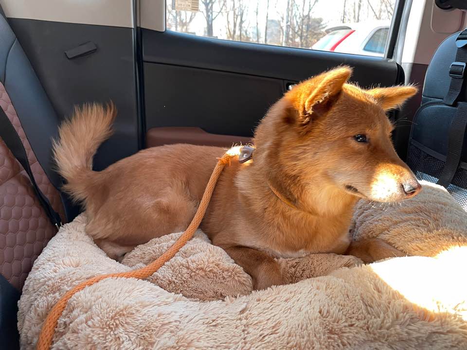 단이와의 임보 3개월차