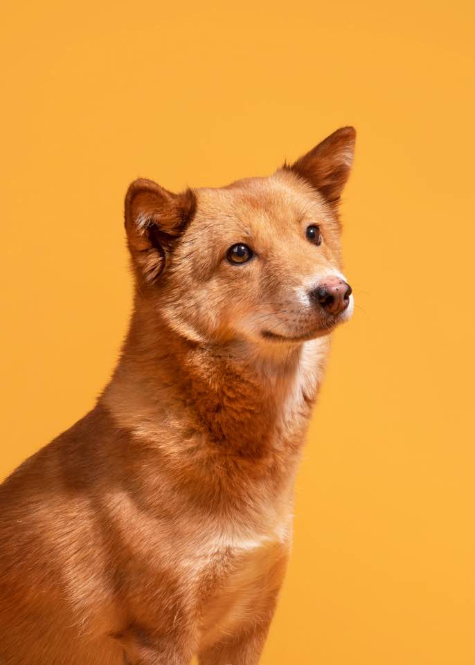 단이와의 임보 3개월차