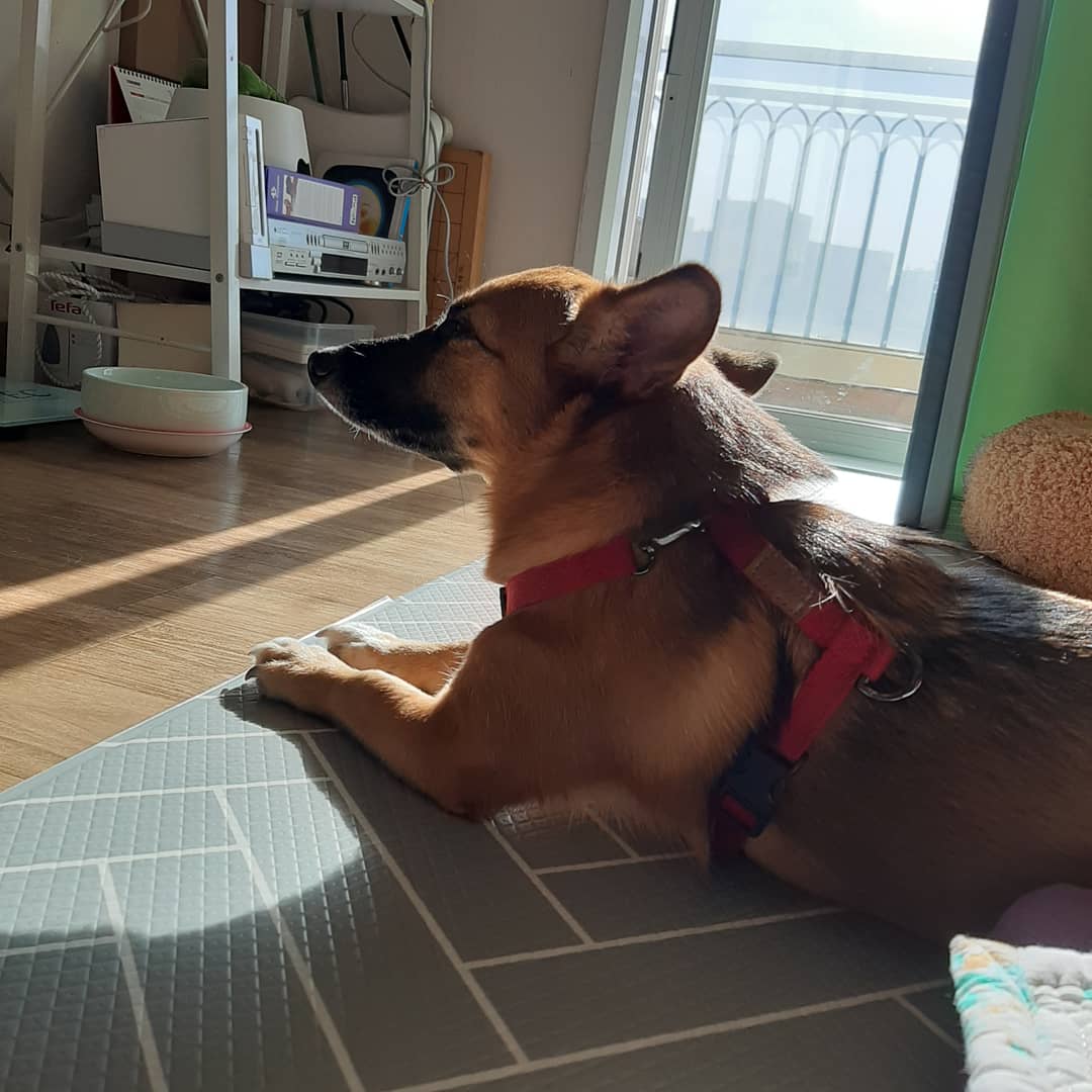 우리 리카의 첫돌 이야기^^