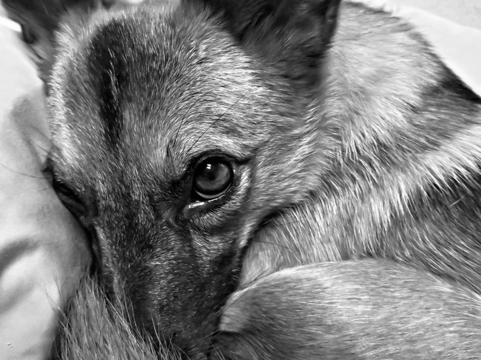 우리 리카의 첫돌 이야기^^