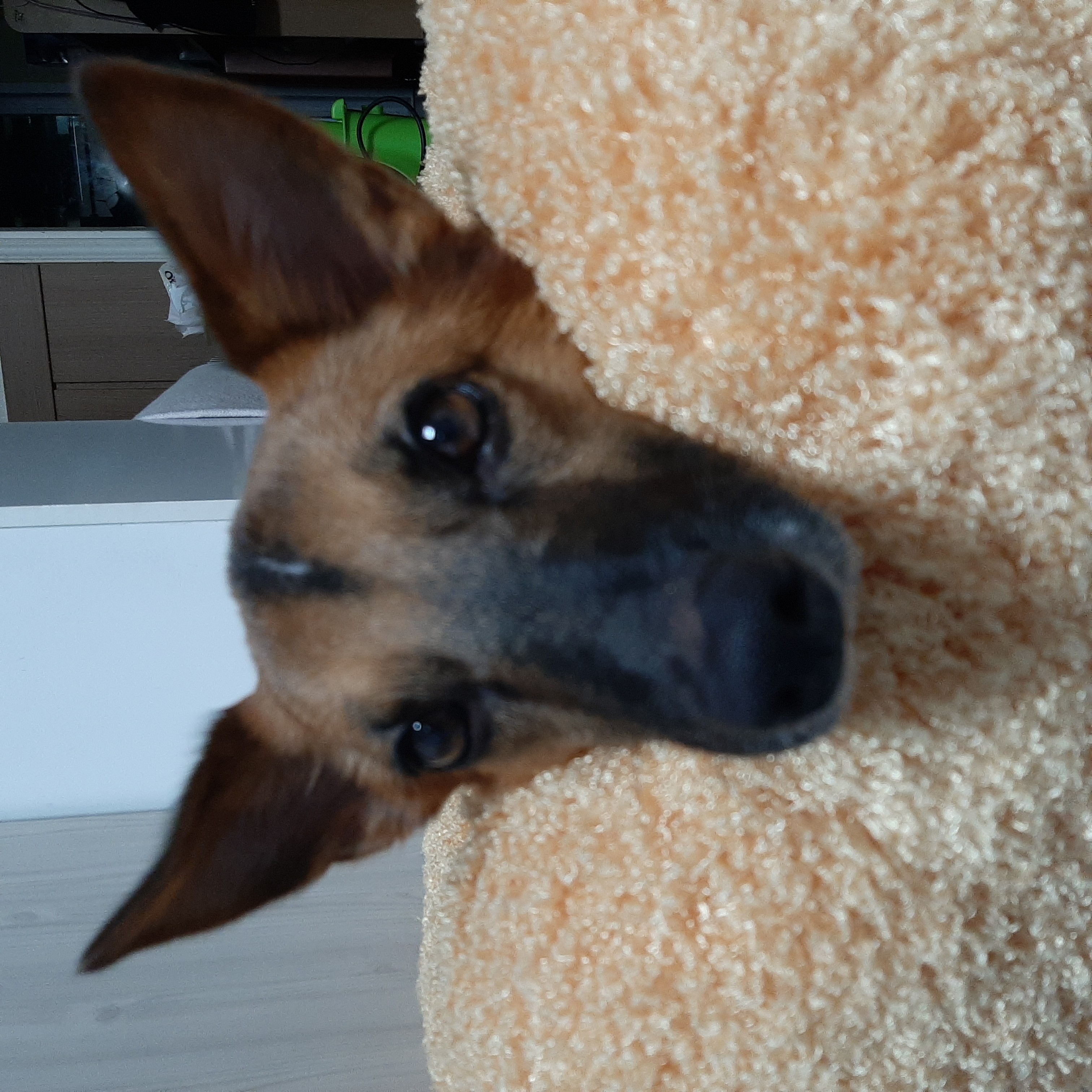 우리 리카의 첫돌 이야기^^