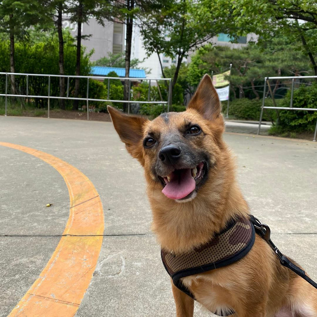 우리 리카의 첫돌 이야기^^