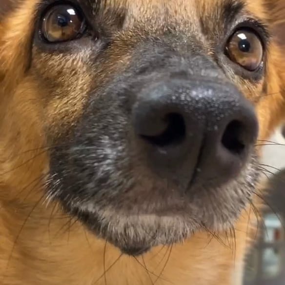 우리 리카의 첫돌 이야기^^