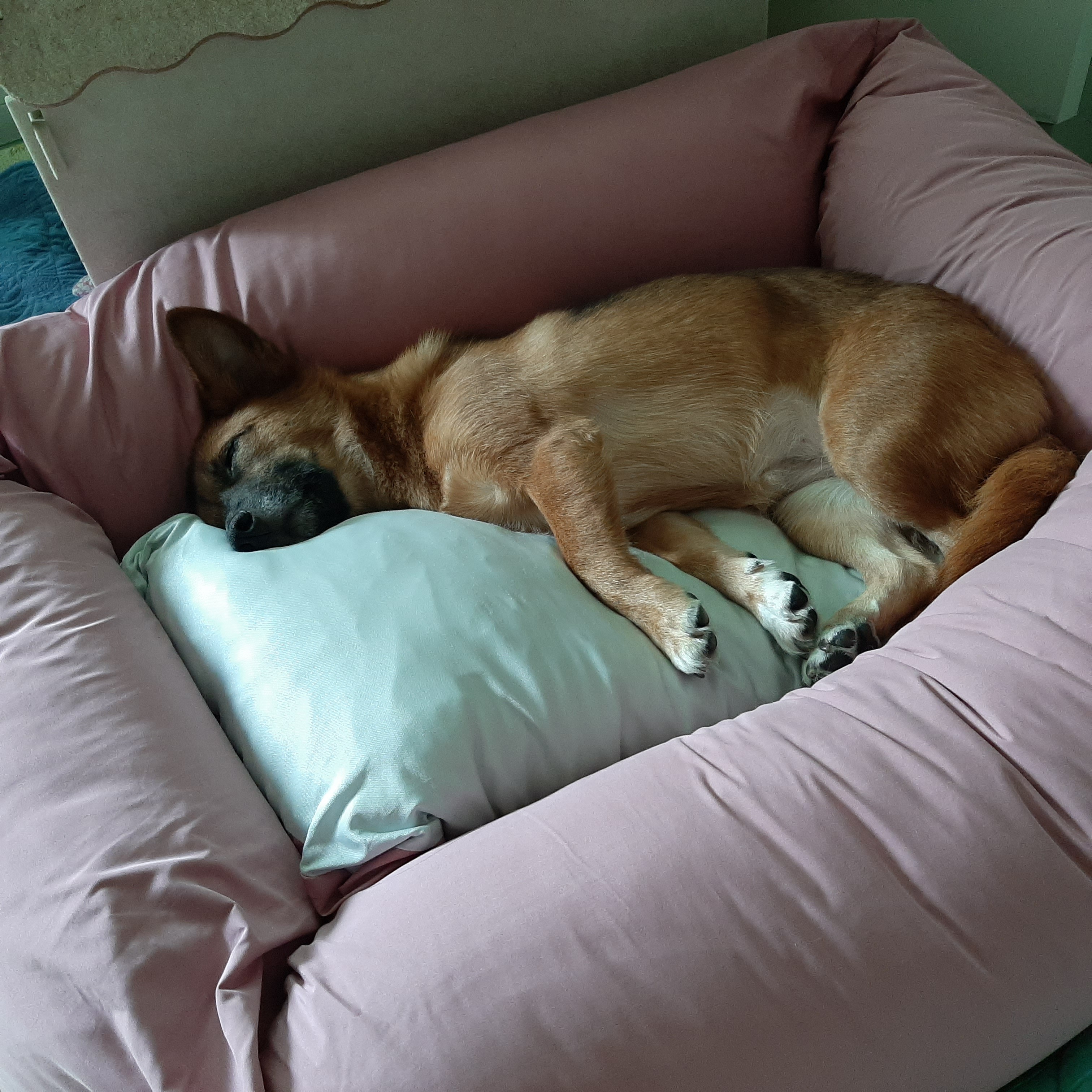 우리 리카의 첫돌 이야기^^