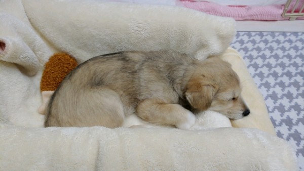 마노 일주일 차