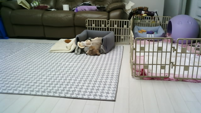 마노 일주일 차