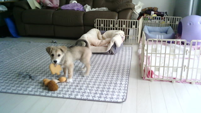 마노 일주일 차