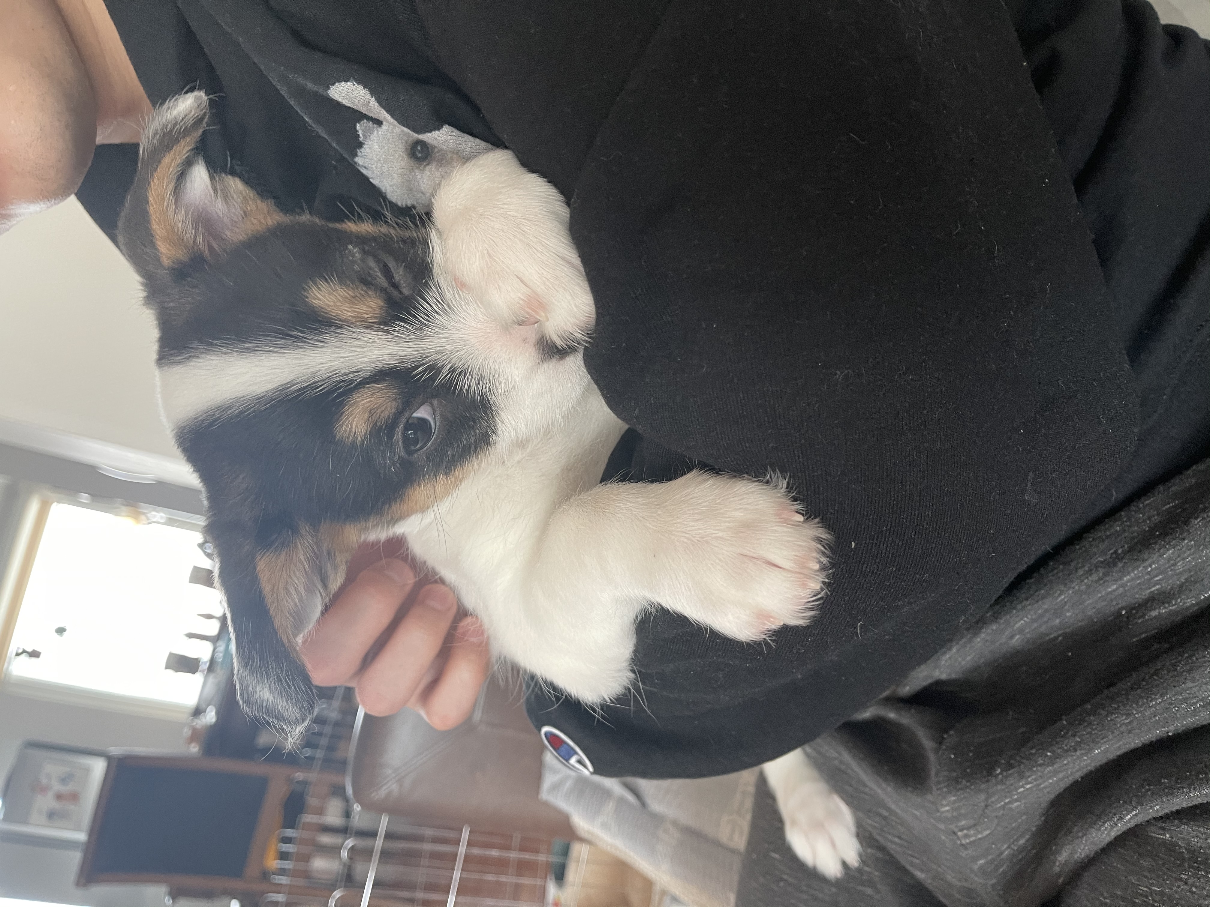 마네 일주일차 입양후기