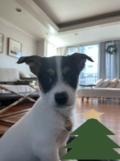 마네 일주일차 입양후기