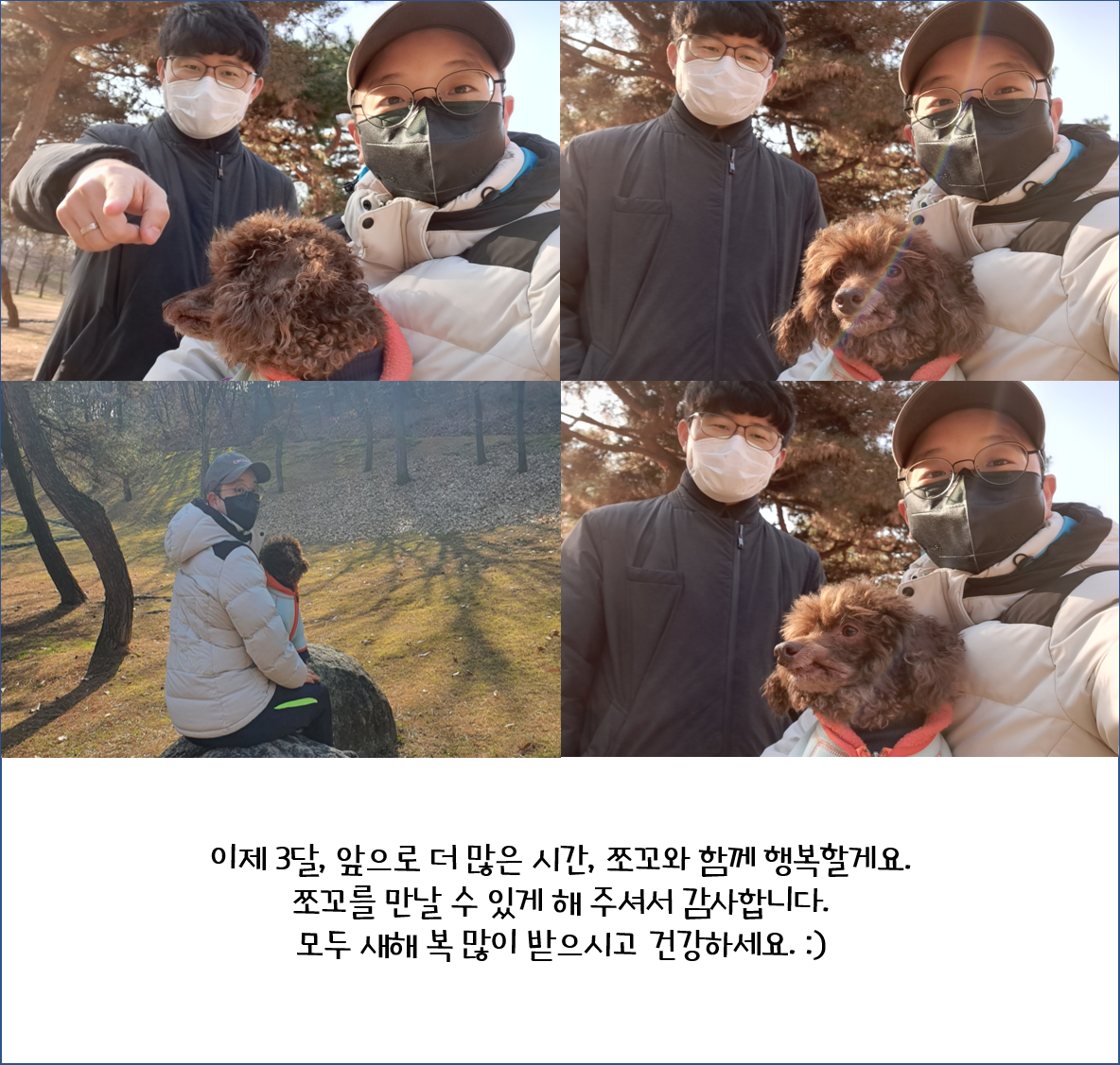 어리광쟁이 사랑둥이 쪼꼬와 함께 한 3달