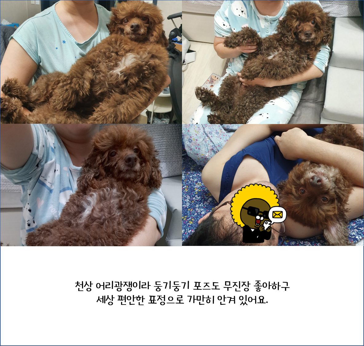 어리광쟁이 사랑둥이 쪼꼬와 함께 한 3달
