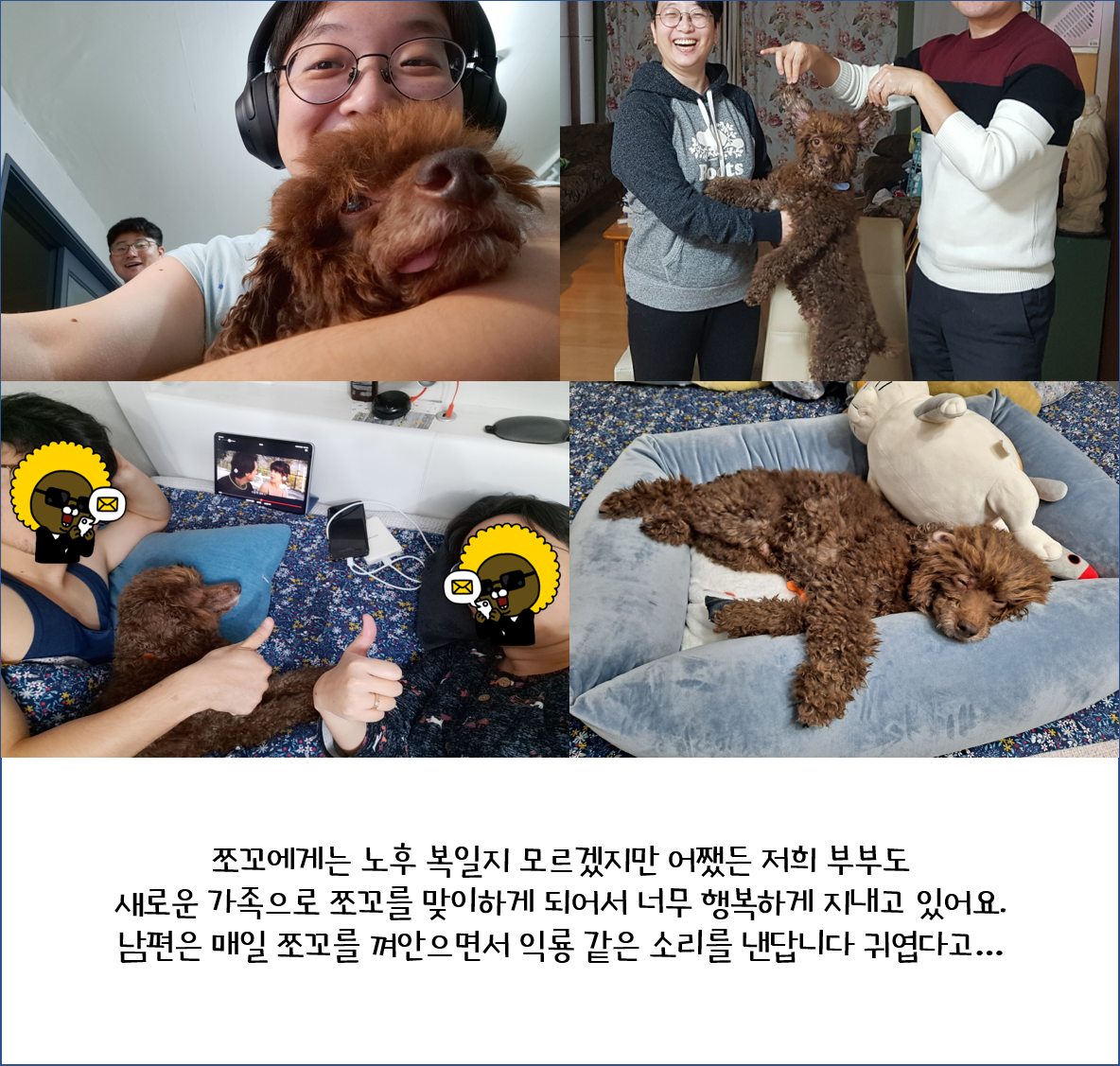 어리광쟁이 사랑둥이 쪼꼬와 함께 한 3달