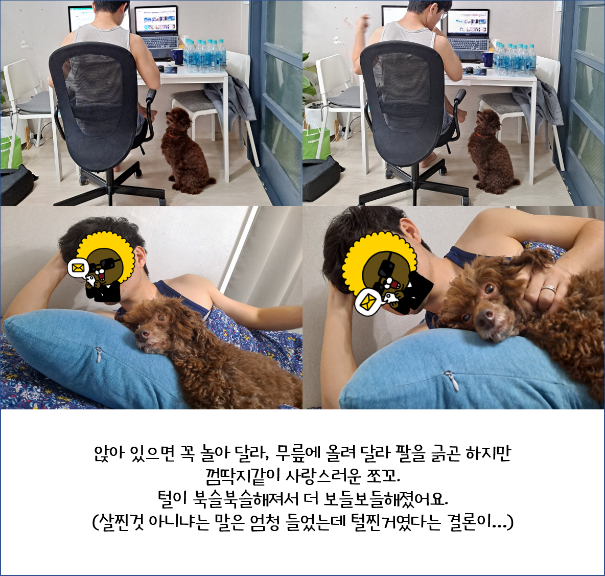 어리광쟁이 사랑둥이 쪼꼬와 함께 한 3달