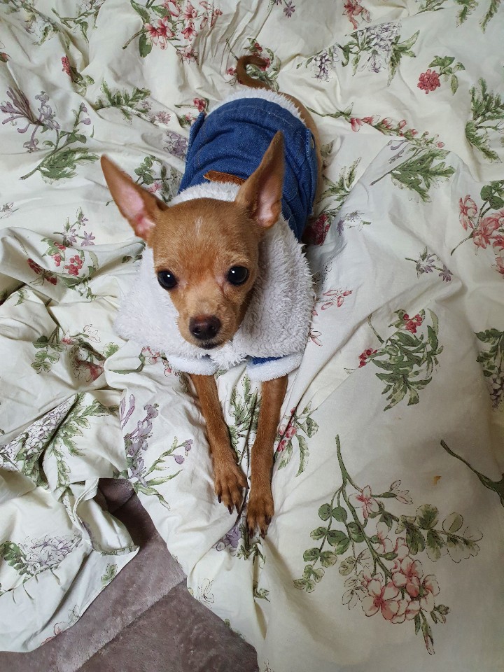 곤지(푸푸 아가 뽀오) 오늘 생일이예요~ ^^