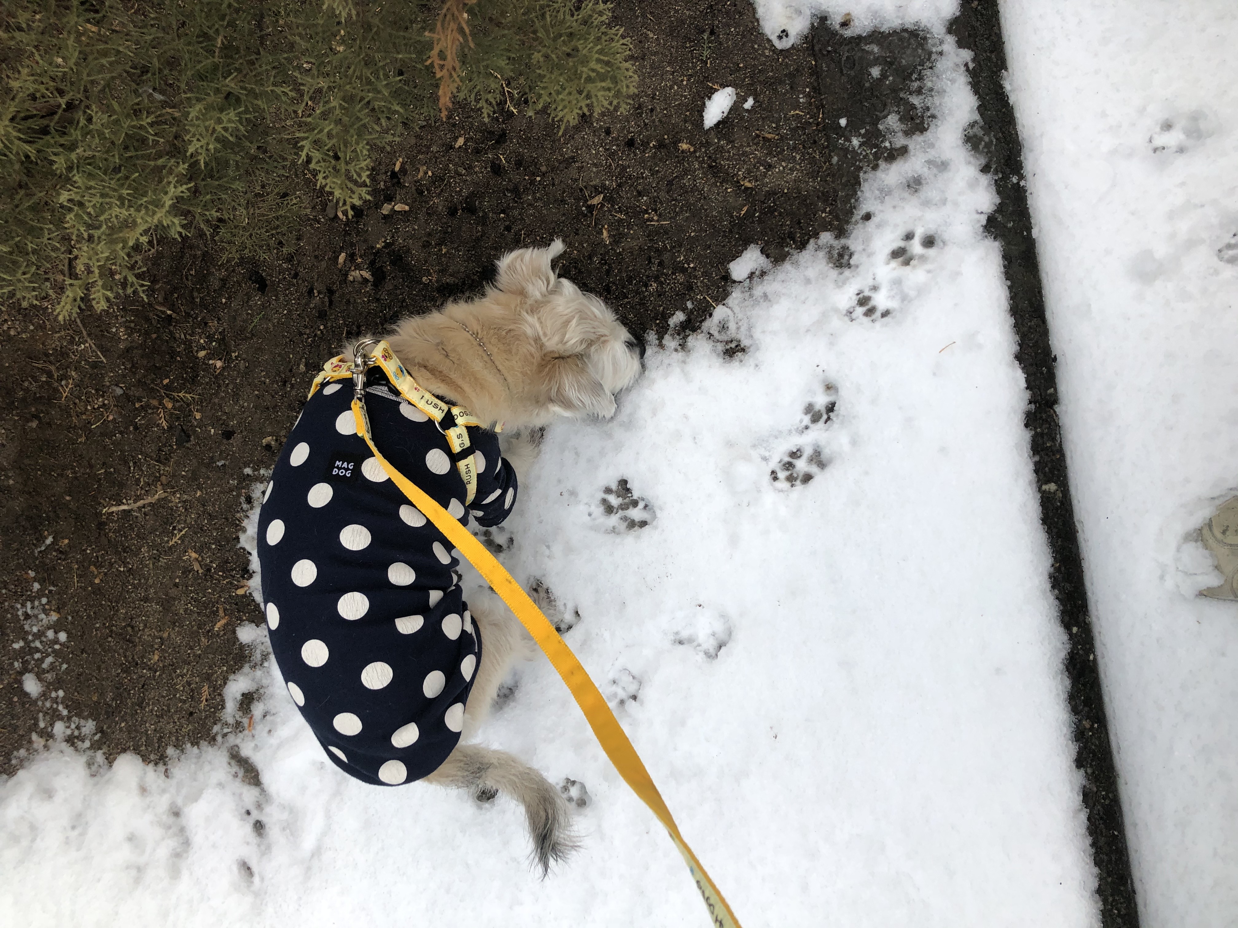 진이(前바비) 일주일 차 소식입니다. ^0^ 