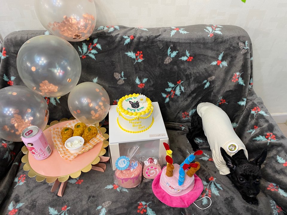 아라-푸푸아가 뽀이 생일파티했어요^^