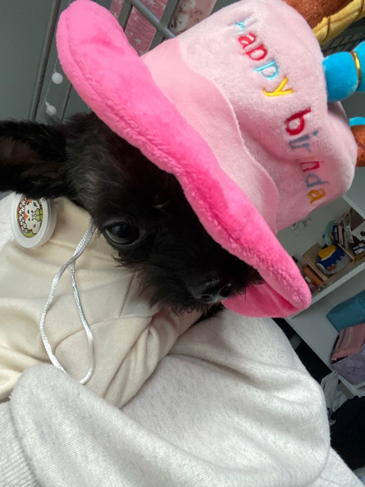 아라-푸푸아가 뽀이 생일파티했어요^^