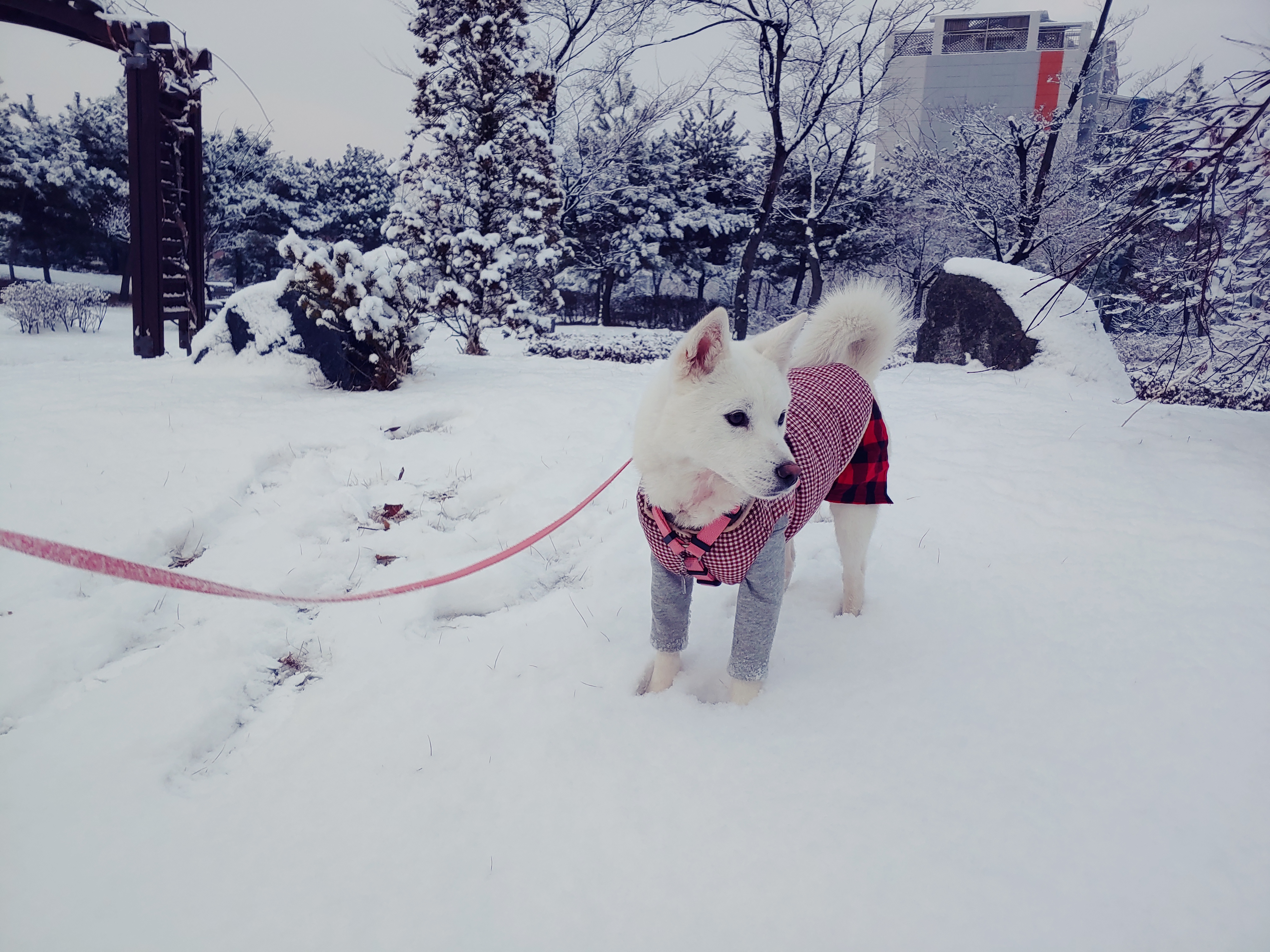 구름이와의 한달